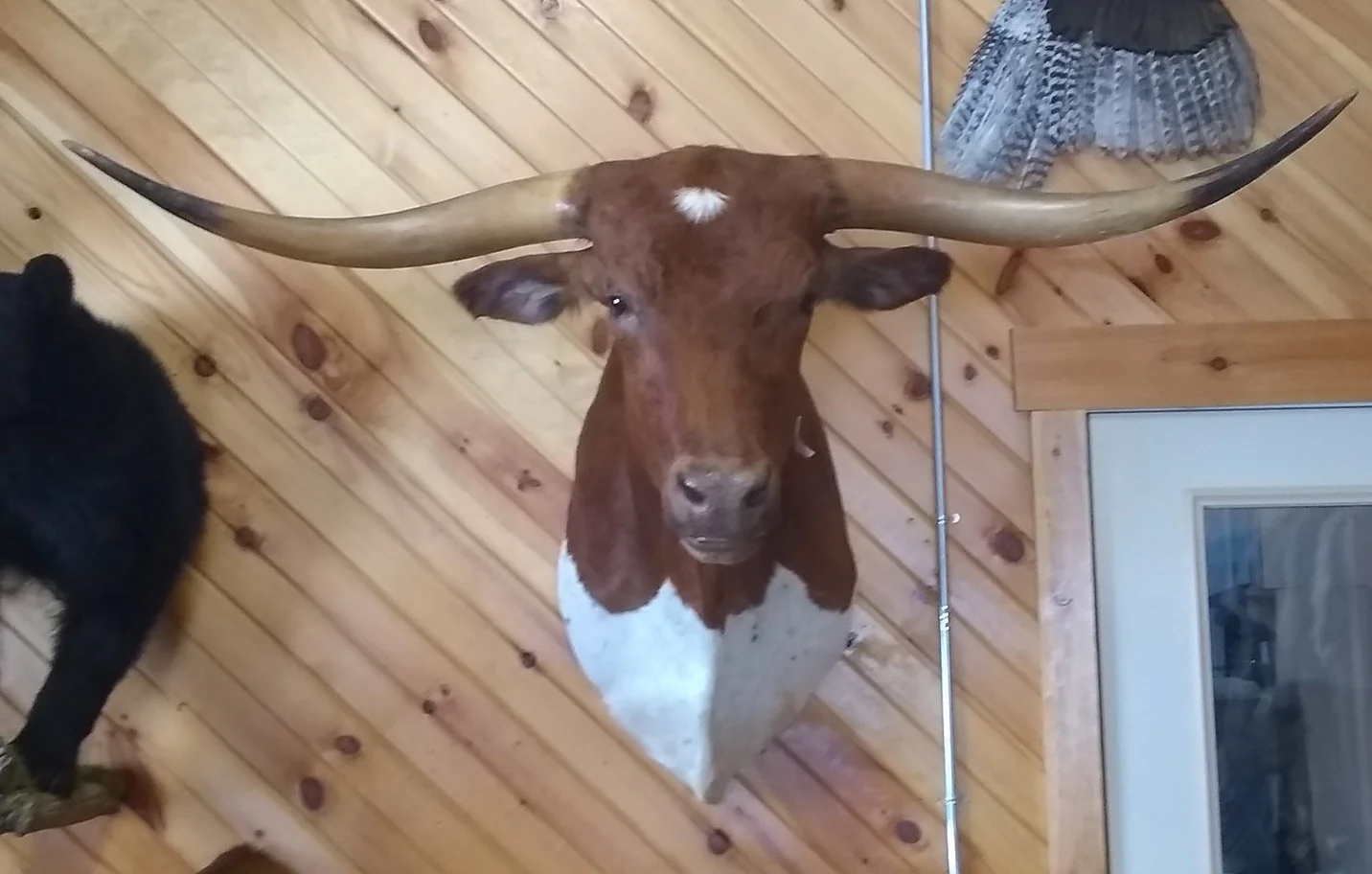 Mount Calm commercial concrete services